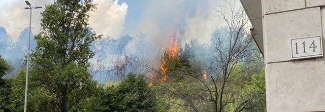 balduina in fiamme